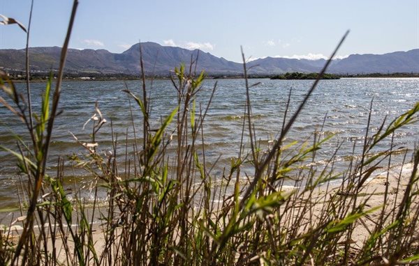 Zandvlei has been closed for recreational use for three months because of sewage spills. | Source: Ashraf Hendricks