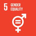 Gender equality: Implementation of SDG 5 not a simple matter
