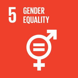 Gender equality: Implementation of SDG 5 not a simple matter