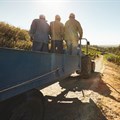 SA's agricultural employment stats up due to good harvests