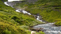 COP26: How the world will measure progress on the Paris climate agreement and keep countries accountable