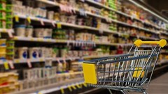 Global food commodity prices rebound in August