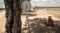 How climate change contributed to Madagascar's food crisis