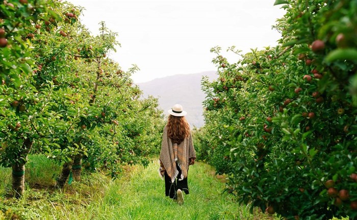 New destination campaign challenges travellers to explore the Western Cape