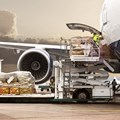 Airside facility secures safety for vulnerable cargo