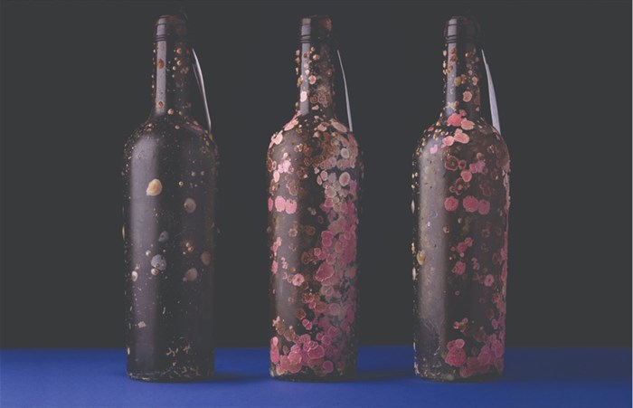 Pentawards 2021 acknowledges best in global packaging design