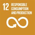 SDG 12: Ensure sustainable consumption and production patterns