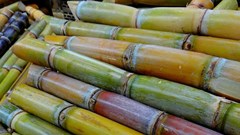 Nairobi's fuel dispensers replace charcoal, kerosene with biofuel