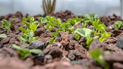 Mondelez International launches Aquaponics Social Enterprise initiative