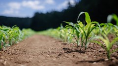 What SA needs to achieve a carbon neutral food supply chain