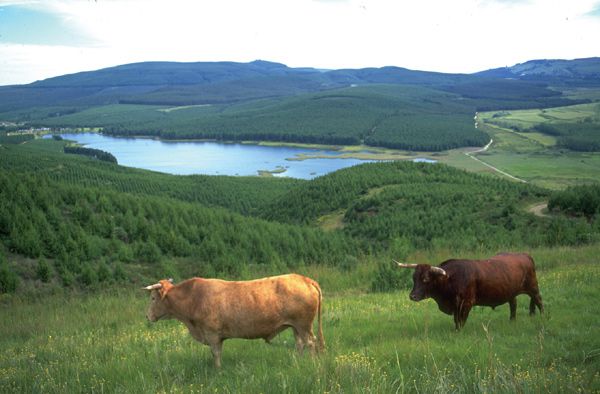 Sappi collaborates with WWF-SA for water security