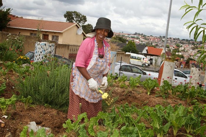 Food & Trees for Africa launches online social investment platform