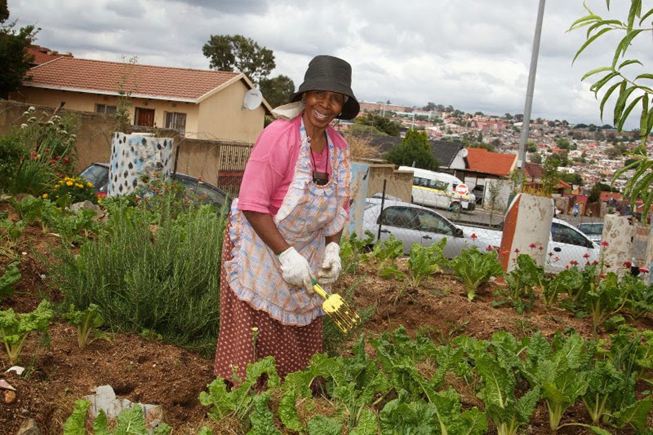 Food & Trees for Africa launches online social investment platform