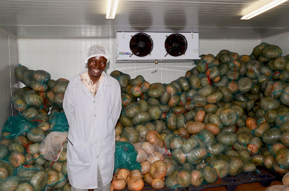 Food & Trees for Africa launches online social investment platform