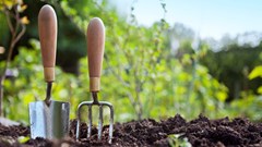 5 reasons why small farms are key to the future of food systems