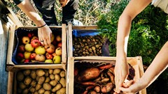 What EU's farm-to-fork strategy will mean for SA agriculture