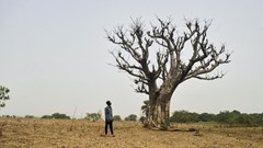 Manni Group Design Award: Ghana Innovation Farm open for entries