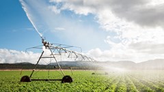 Optimism high as farmers trod ahead to plant more in the new agriculture season