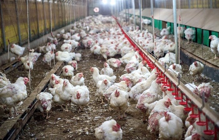 Source: ©tawatchai prakobkit via