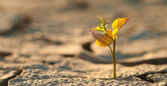 Climate action in agribusiness could reduce emissions by up to 7%