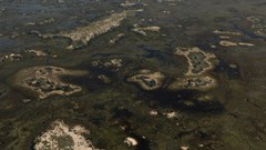 Namibia to licence production near Okavango Delta if Canadian firm finds oil