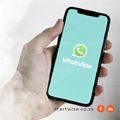 WhatsApp to grow your small business