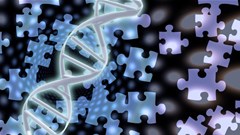 Source: ©rolffimages