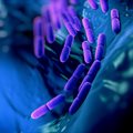 Trust your gut: Are novel probiotic formats boosting SA's probiotics market?