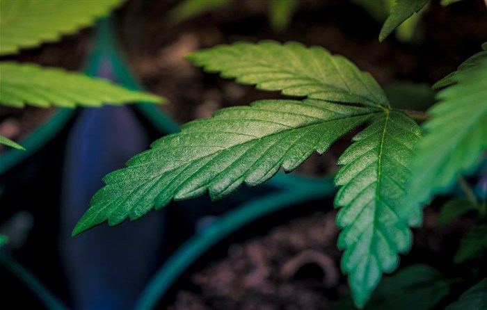 Source: Esteban Lopez via