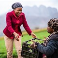 Spar's award-winning Rural Hub programme giving emerging farmers a leg up