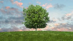 One-quarter of businesses say they cannot reduce their environmental impact