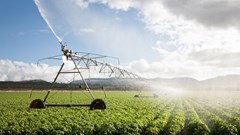 Sentiment cruises to a record high in the latest agribusiness confidence update