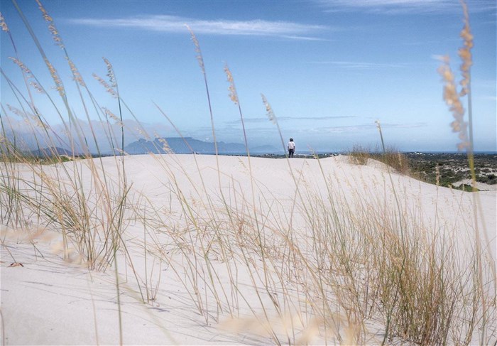 Dune driving in the Witzands Aquifer Nature Reserve