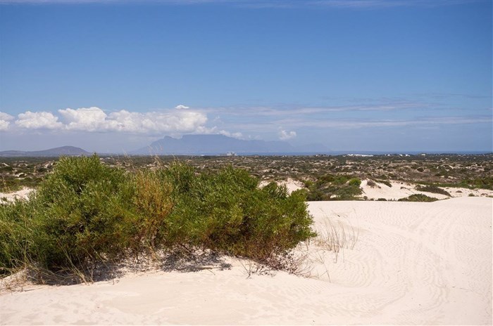 Dune driving in the Witzands Aquifer Nature Reserve