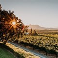 Why a winelands visit is a must this summer