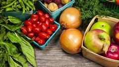 UN WFP, Impact Hub Kigali launch programme to support food system innovations in Rwanda