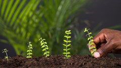 Source: © Andriy Popov [[www.123rf.com 123rf