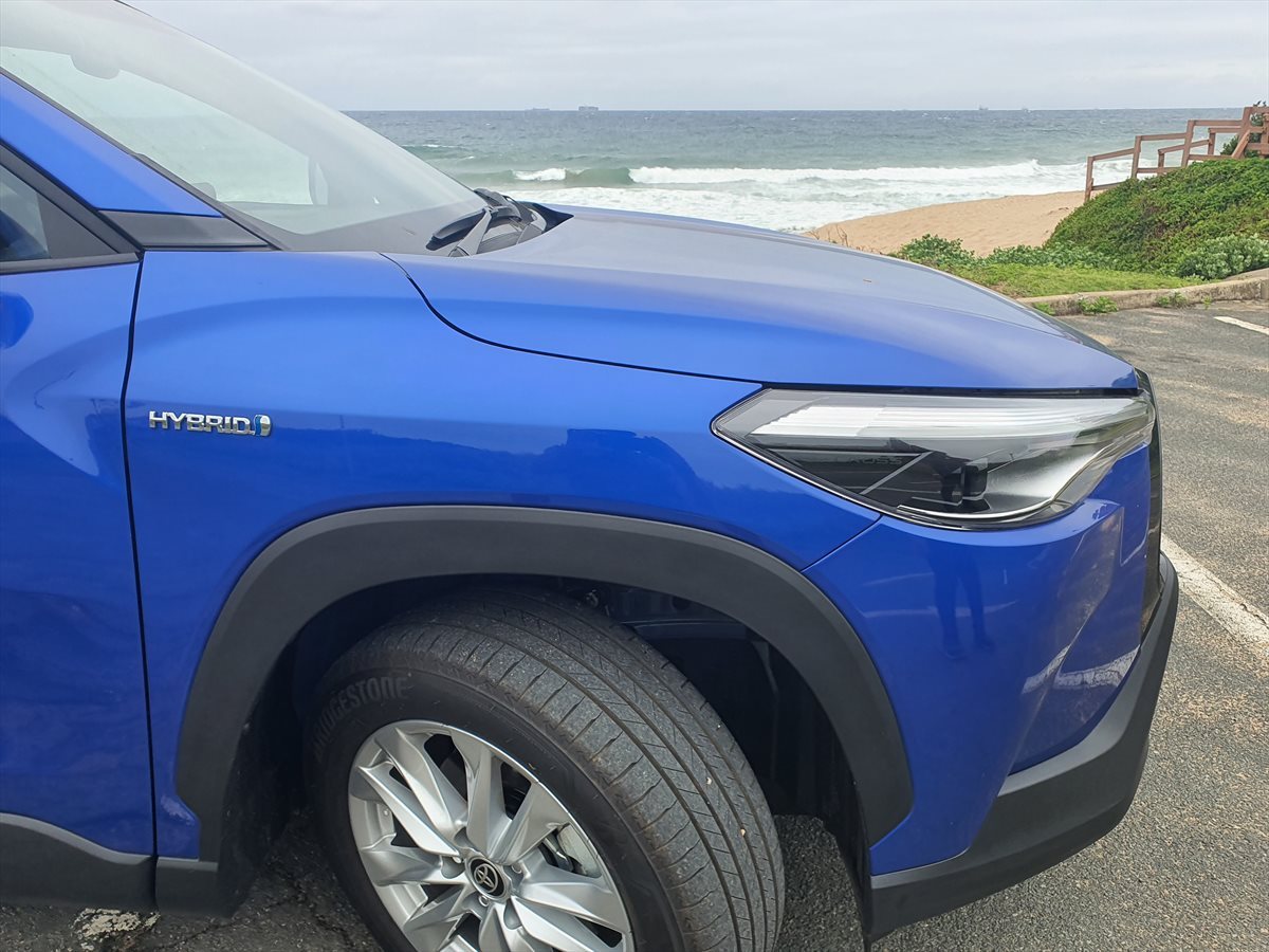 Image credit: Naresh Maharaj