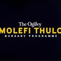 Ogilvy launches the Molefi Thulo Bursary Programme in partnership with The Loeries