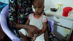 Nearly 40% of people in Ethiopia's Tigray lack adequate food - UN WFP