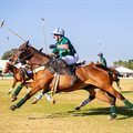 The Nedbank International Polo returns to Joburg