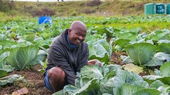 Woolies raises R2.5m to boost South Africa's food security