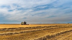 Source: josealbafotos via