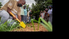 Shoprite Group incubates 30 more food gardens in KZN