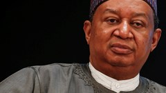 OPEC chief, African ministers defend oil and gas investments