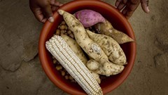 The future of food security: Challenges that farmers are facing
