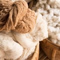 Cotton On's first impact report captures sustainability and ethical business targets