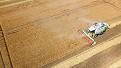 How the war in Ukraine will affect food prices