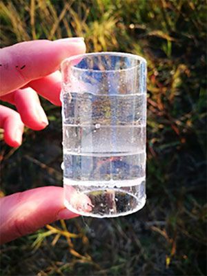 The artificial mussel developed by NWU and UDE researchers to monitor platinum in fresh water