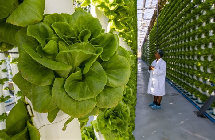 Can-Agri Pretoria. Source: Supplied